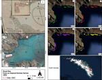 Bosques submarinos de la Patagonia se mantienen intactos hace 200 años a pesar de la crisis climática global