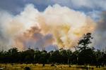 Potencial desastre ecológico en Tierra del Fuego por incendio forestal 
