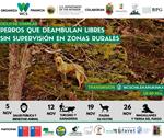 Ciclo de charlas: Perros que deambulan libres sin supervisión en el ámbito rural