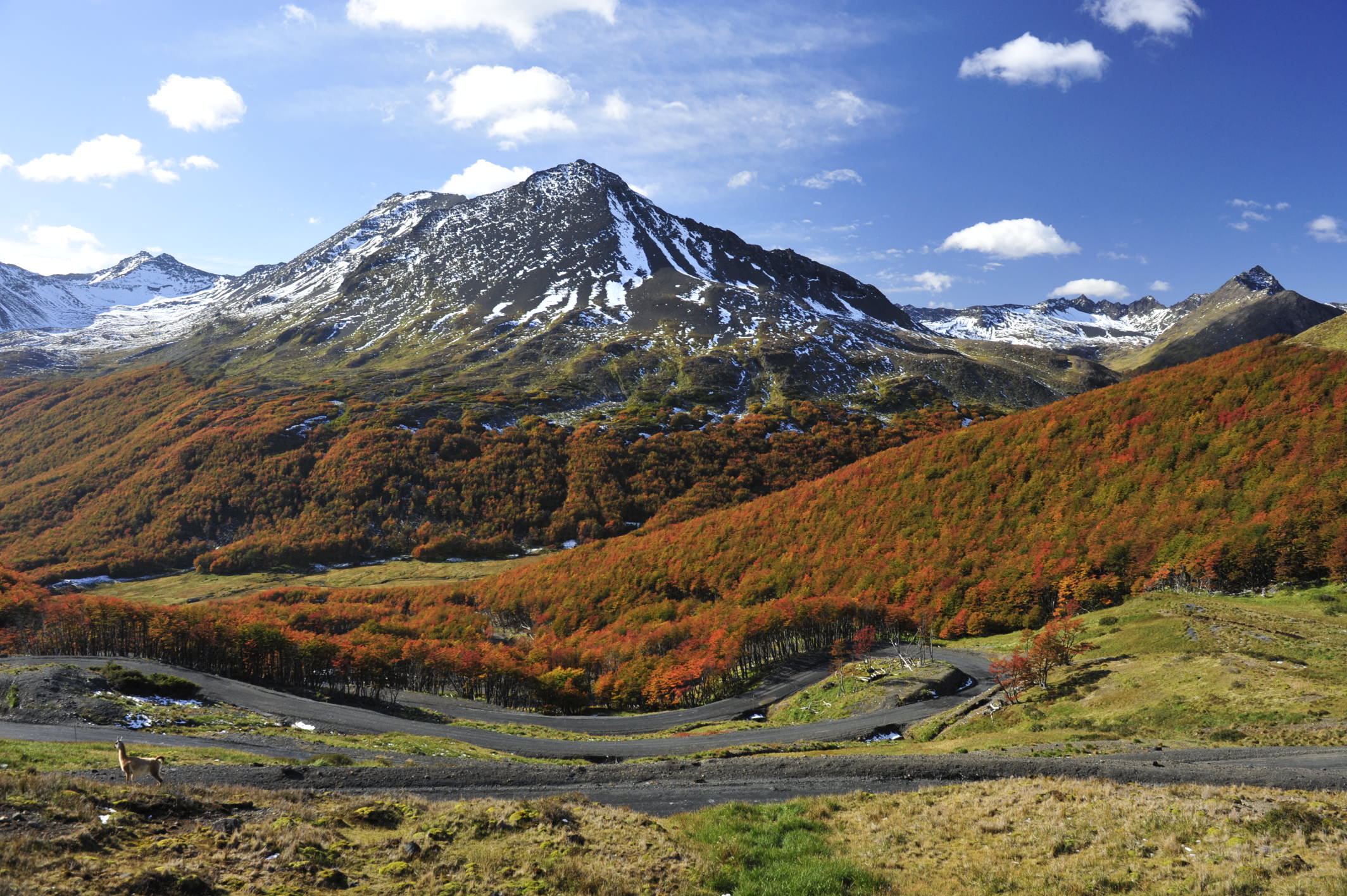 Горы огненной земли. Огненная земля (Tierra del Fuego) Аргентина. Тьерра дель Фуэго Аргентина. Национальный парк Огненная земля Аргентина. Остров Огненная земля Аргентина.